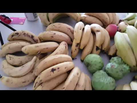 New see-thru bikini, Iphone to Samsung swap, Flatscreen install