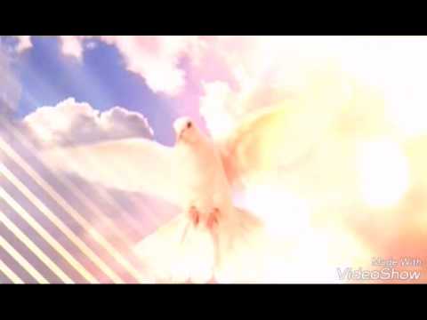 Rosana Alves cantando Quero descer.