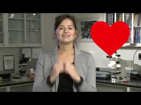 Elise Berodier - My Thesis in 180 Seconds