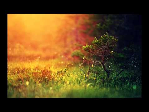 Mutt Ft. Kevin King - Conversations