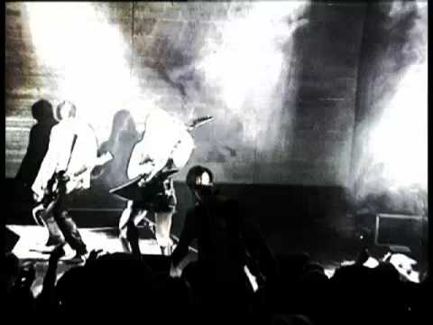 Cat Rapes Dog - Moosehair Underwear