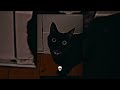 FUNK OSCURO Super Slowed H6itam ICEDMANE DYSMANE Tiktok Version