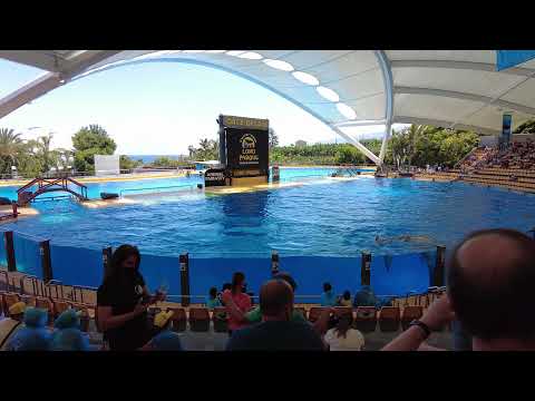 2021/06/20 - 130455 - Loro Parque water splash