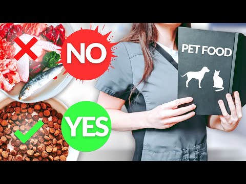 Why Vets Don't Understand Nutrition