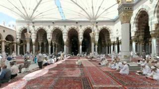 القرآن الكريم : سورة مريم Quran Translation -Ghamdi: Maryam : 19