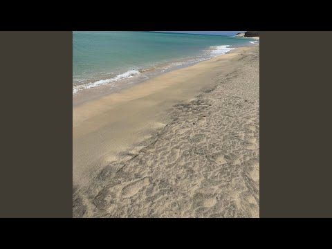 Lo volvería a hacer