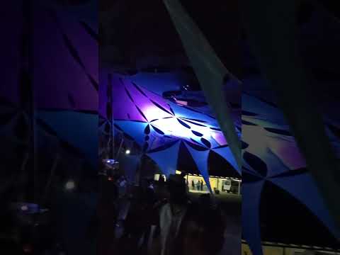 Dakar - live - Kamino Records en Wonderland 3