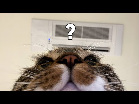 다람쥐 아닙니다...