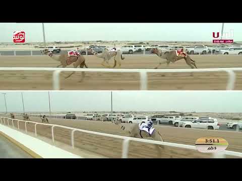 ش 2 (المستشار) لـ عبدالله سالم فهيد بن براك فهيد 7:29:38 , مهرجان ختامي الشحانية 2026/04/21 لقايا