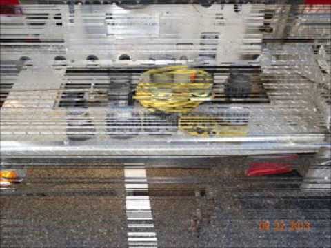 R 2 Bomba Coigue Spartan Gladiator / Saulsbury