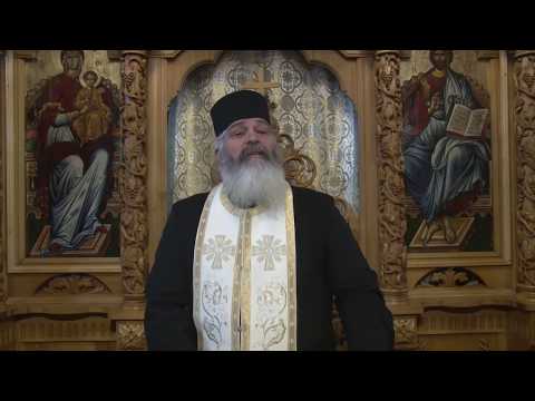 Viata vesnica - Parintele Calistrat