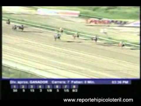 Resumen Sábado 10 de Diciembre - La Rinconada