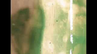 Rrope - 'Step Right Up'