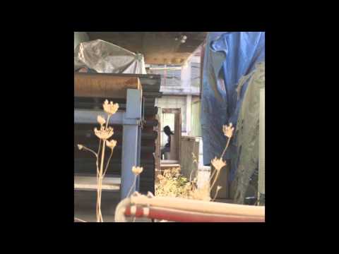 DEAD:LUNG ft. Sidekicks - Something Real (Tiege & Vizual Remix)