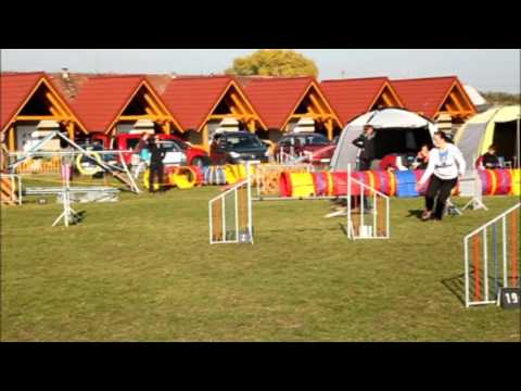 ICE AGE AGI II. - Bree