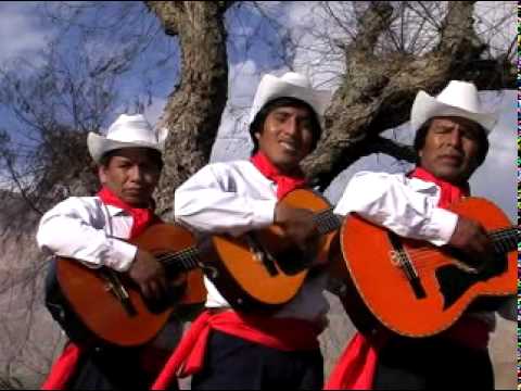 Trío Los Trigales - Mi doctor