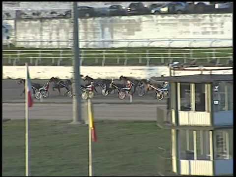 Trotto 23/12/2014 - 2° corsa