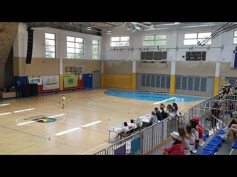 8. odprto državno tekmovanje Mažoretne zveze Slovenije v Brežicah