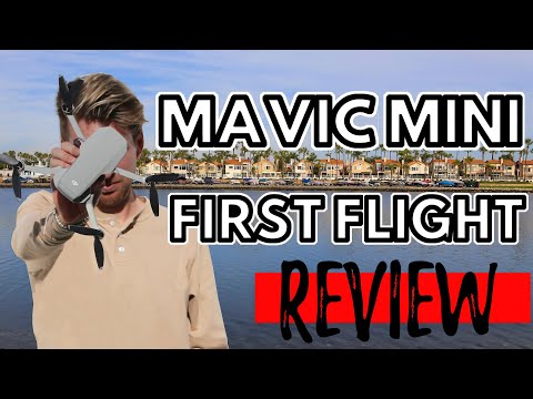 DJI MAVIC MINI First Flight Test and Review
