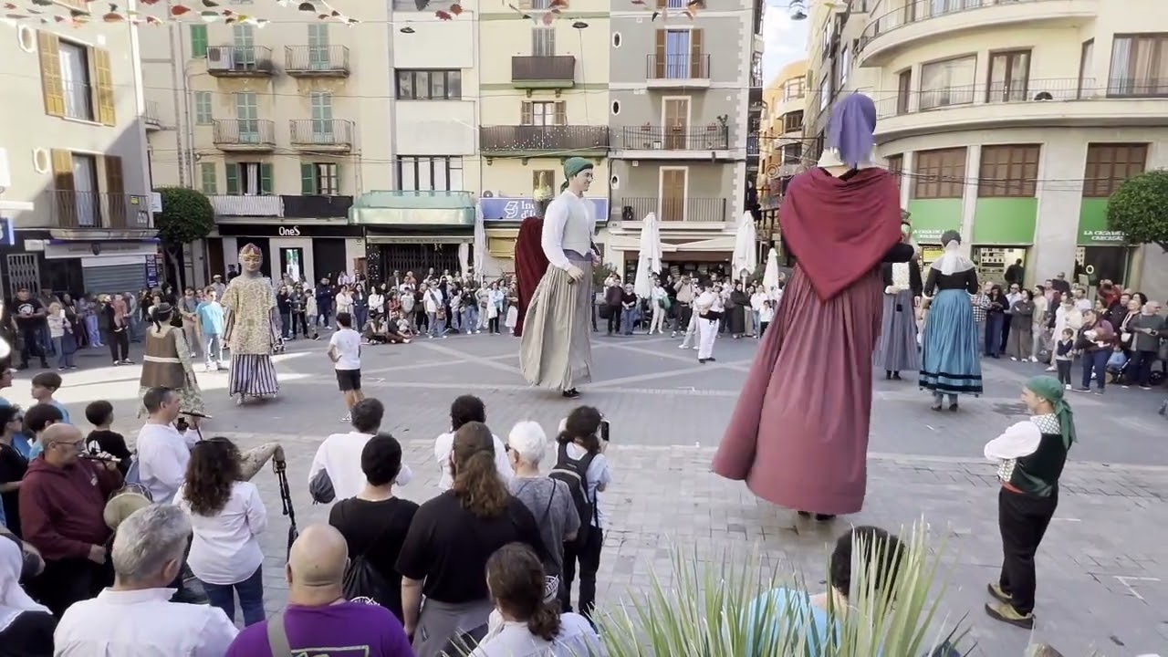Ball Calvia, Alcúdia i Petra