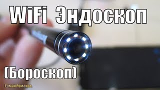 Ссылка