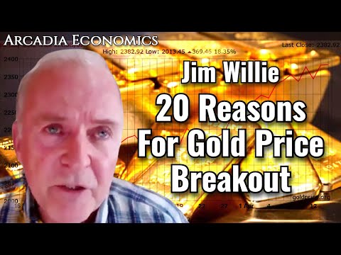 Jim Willie: 20 Reasons For Gold Price Breakout