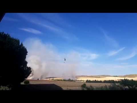 Incendio de pastos en Camarma de Esteruelas y Valdeavero