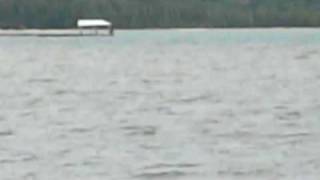 House-50 First Dates.MOV