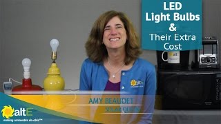 Are LED Light Bulbs really worth the extra cost?