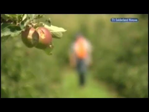 GLD Nieuws 23 juni 2008 - Nieuws