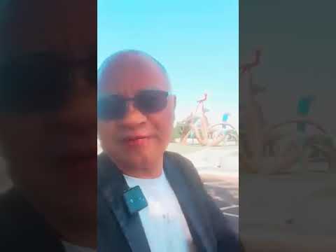 Uma visita ao mato grosso do sul 