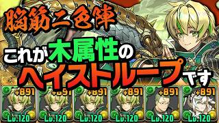 色々しながら2色陣が連発できる木リュウメイシステムが強いらしい【パズドラ】