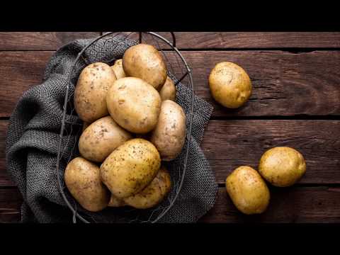 Katalog akcija 18.1.-24.1.