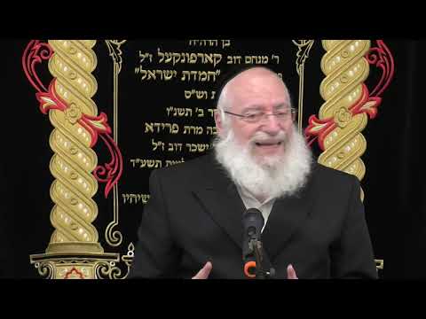 New Shiur: Using Umbrellas on Shabbos | Weekly Shiur by Rav Asher Weiss Shlit"a (Behaaloscha, 5785)