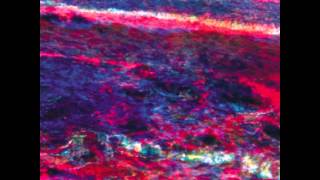 Luke Abbott - Sirens for the Colour