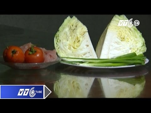 , title : 'Tác dụng "thần kỳ" của rau bắp cải | VTC'