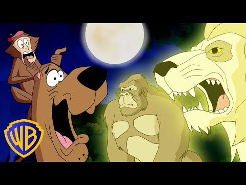 Animals ATTACK! 🦒🐊 | Scooby-Doo! | #kidscartoons @wbkids