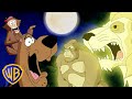 Animals ATTACK Scooby Doo Kidscartoons Wbkids