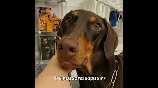 Download lagu mentari pun tahu ku cinta bapakmu π #jeonbam #jungkook #shorts mp3 Download lagu mentari pun tahu ku cinta bapakmu π #jeonbam #jungkook #shorts mp3