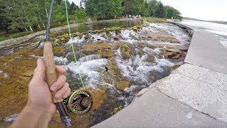 Fishing the World&#39;s SMALLEST River! (Fish Live Here?)