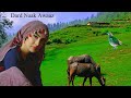 Kashmir Village Vedio :New Pahari Song Gojri Pahari Geet  Apnajk