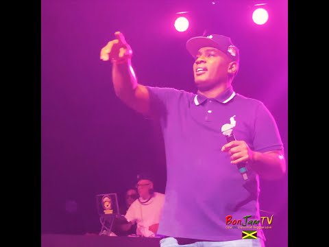 Massive B Sound Wayne Wonder Brooklyn Sing Along