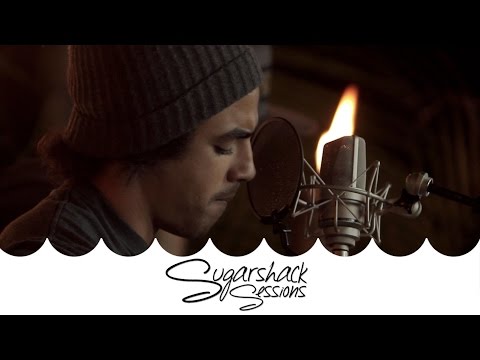 Through the Roots - Bear With Me (Live Music) | Sugarshack Sessions