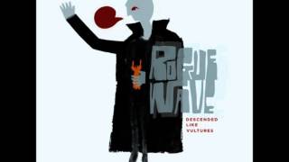 Rogue Wave - Bird on a Wire