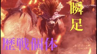 #10[MHW実況]テオ歴戦個体がゾーンに入った青峰くらい速くてスーパーノヴァ生えるわ。ライトボウガンソロ