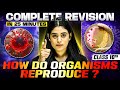 How Do Organisms Reproduce Complete Revision In 25 Minutes Class 10th Board