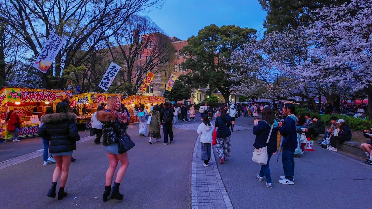 Experience a captivating virtual stroll through Tsuruma Park.