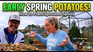 Raised Bed Potato Planting | Our Complete Spring Setup
