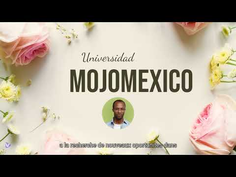 Idiomas Frances Profesional