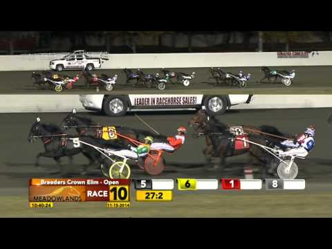 Breeders Crown Elimination - Maven - November 15, 2014